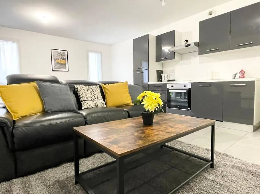 Grand Appartement Lumineux & Spacieux Avec Jardin Villeurbanne France